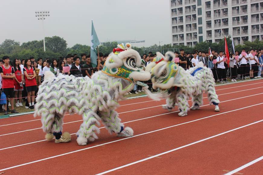 说明: D:\2018年新闻\11月11-12日 酒店与旅游管学院与设计学院2018年联合运动会顺利举行\舞狮表演.jpg